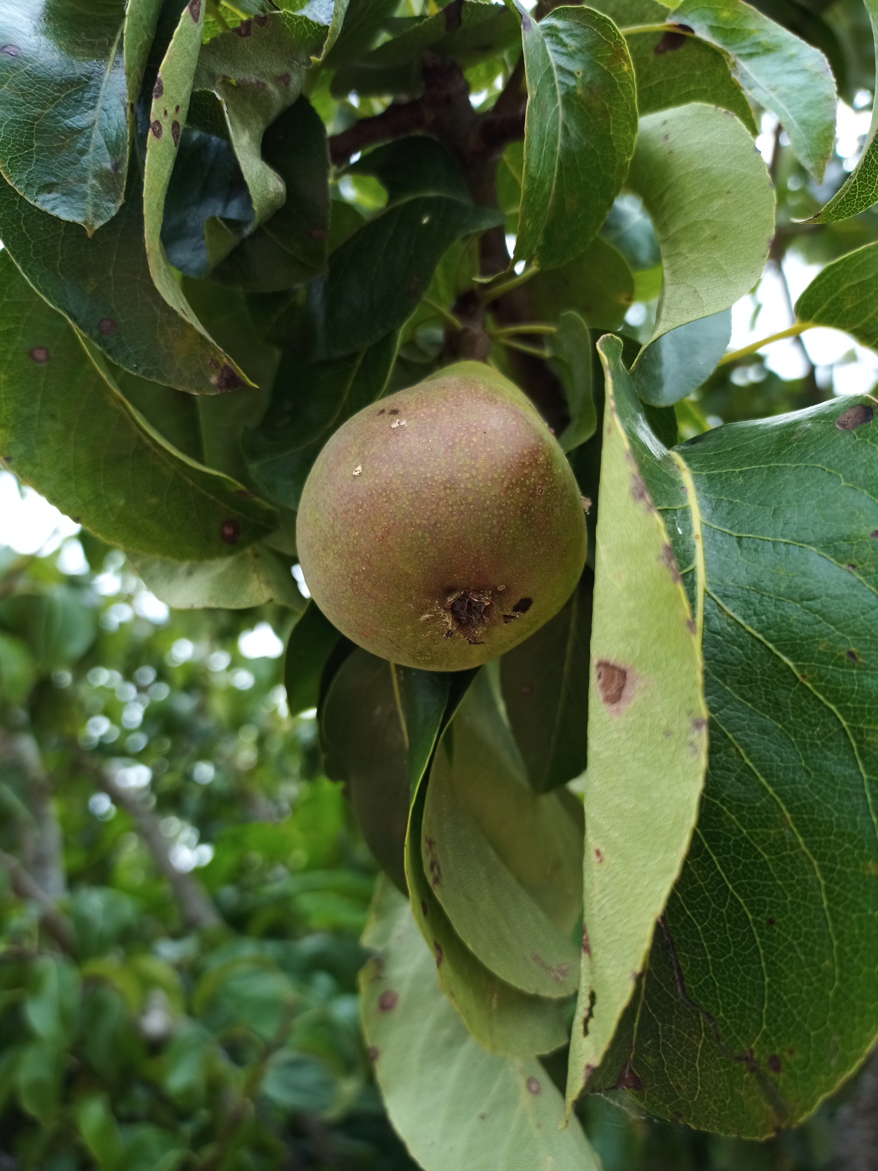 Photo n° 13 de l'avis de Maria.e fait le 09/07/2021 à 14:37