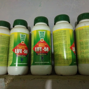 Radhika Herbicide And Insecticide Shop photo