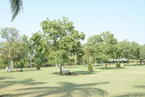 Sector 70, garden, Navanagar, Bagalkot, Karnataka image