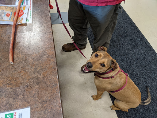 Pet Store «PetSaver Healthy Pet Superstore (Brighton Location)», reviews and photos, 2947 Monroe Ave, Rochester, NY 14618, USA
