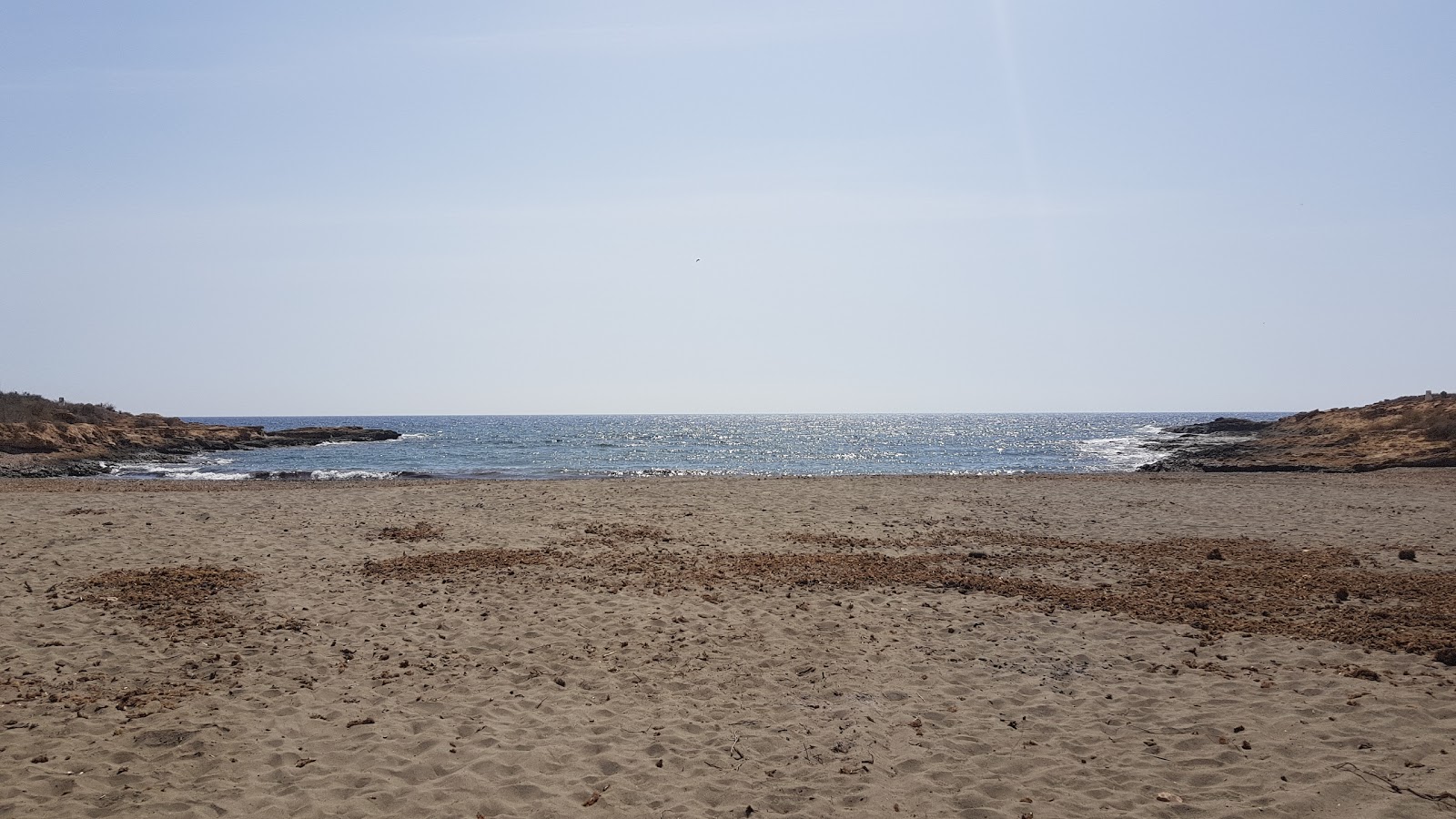 Playa del Pocico del Animal'in fotoğrafı çok temiz temizlik seviyesi ile