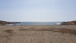 Playa del Pocico del Animal'in fotoğrafı çok temiz temizlik seviyesi ile