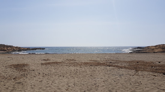 Playa del Pocico del Animal