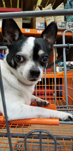 Home Improvement Store «The Home Depot», reviews and photos, 1771 N 19th Ave, Bozeman, MT 59718, USA