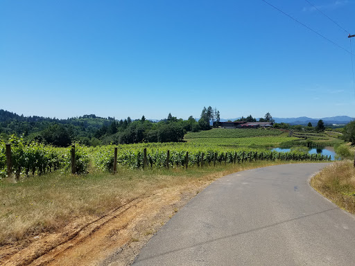 Winery «Elk Cove Vineyards», reviews and photos, 27751 NW Olson Rd, Gaston, OR 97119, USA