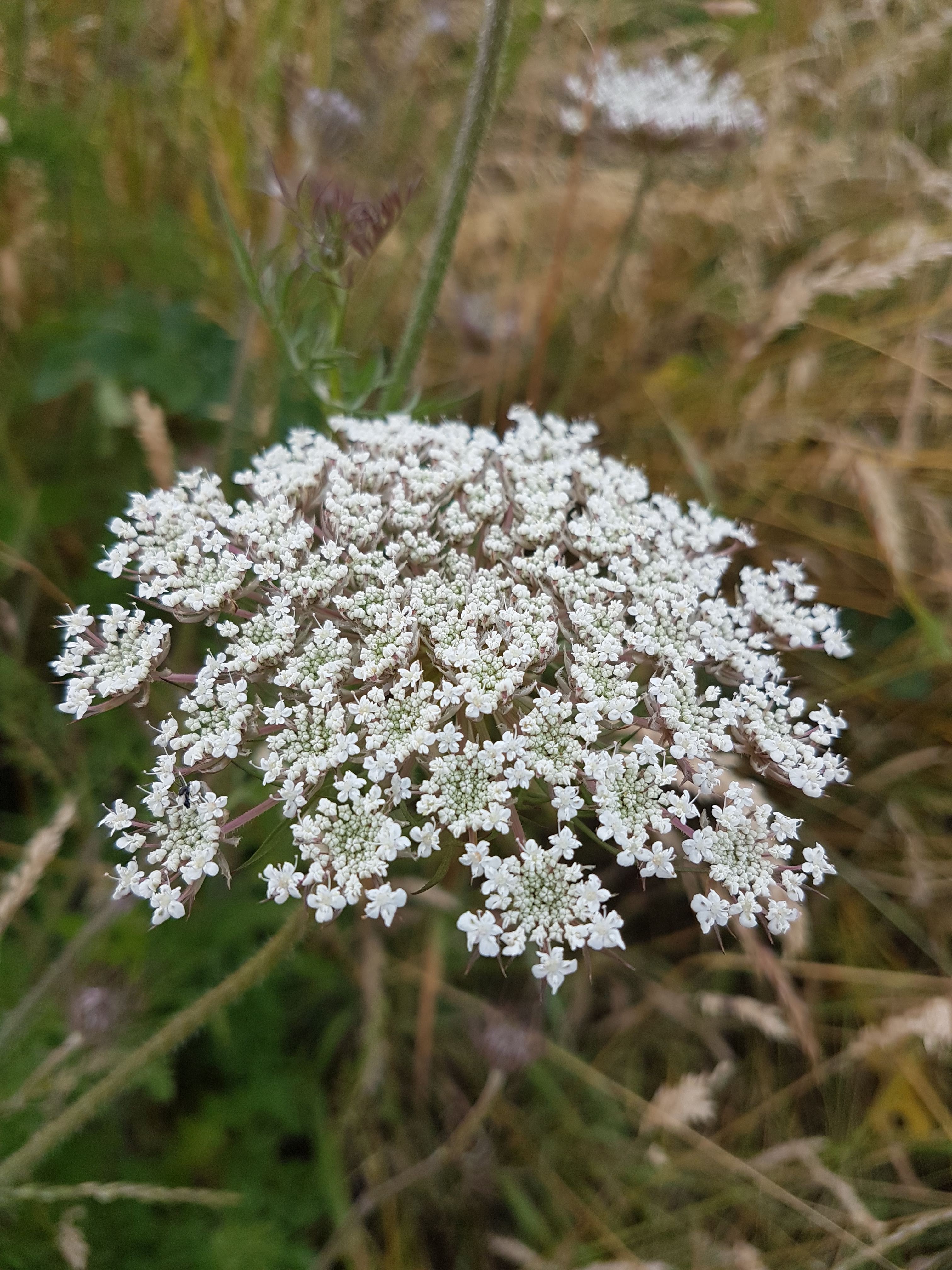 Photo n° 2 de l'avis de Amicie.e fait le 17/06/2020 à 14:41