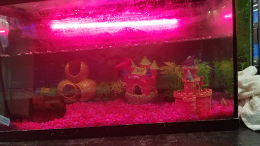 Pet Store «We Love Pets», reviews and photos, 1433 Coshocton Ave, Mt Vernon, OH 43050, USA