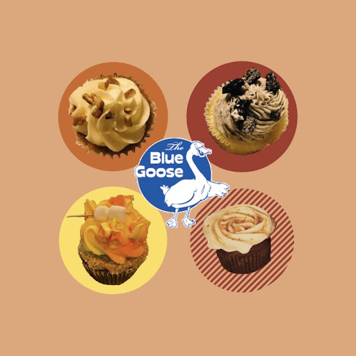 Hostel «Blue Goose Bike Hostel», reviews and photos, 128 E Main St, Irwinton, GA 31042, USA