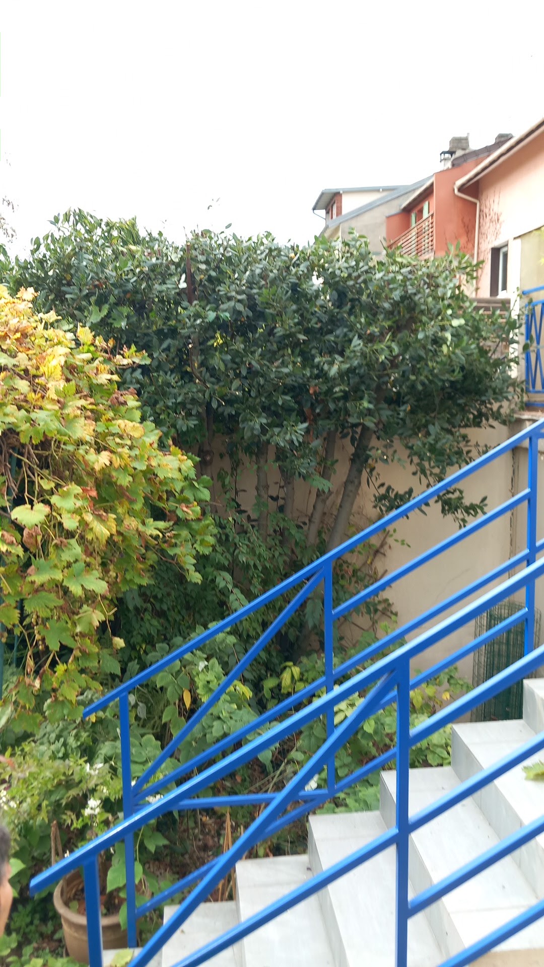 Photo n° 1 de l'avis de loris.a fait le 29/09/2023 à 09:29