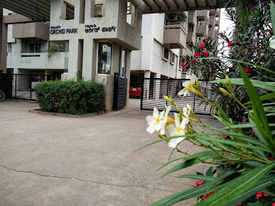 Google Maps image 16