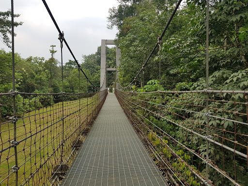 Taman Rimba Bukit Kerinchi