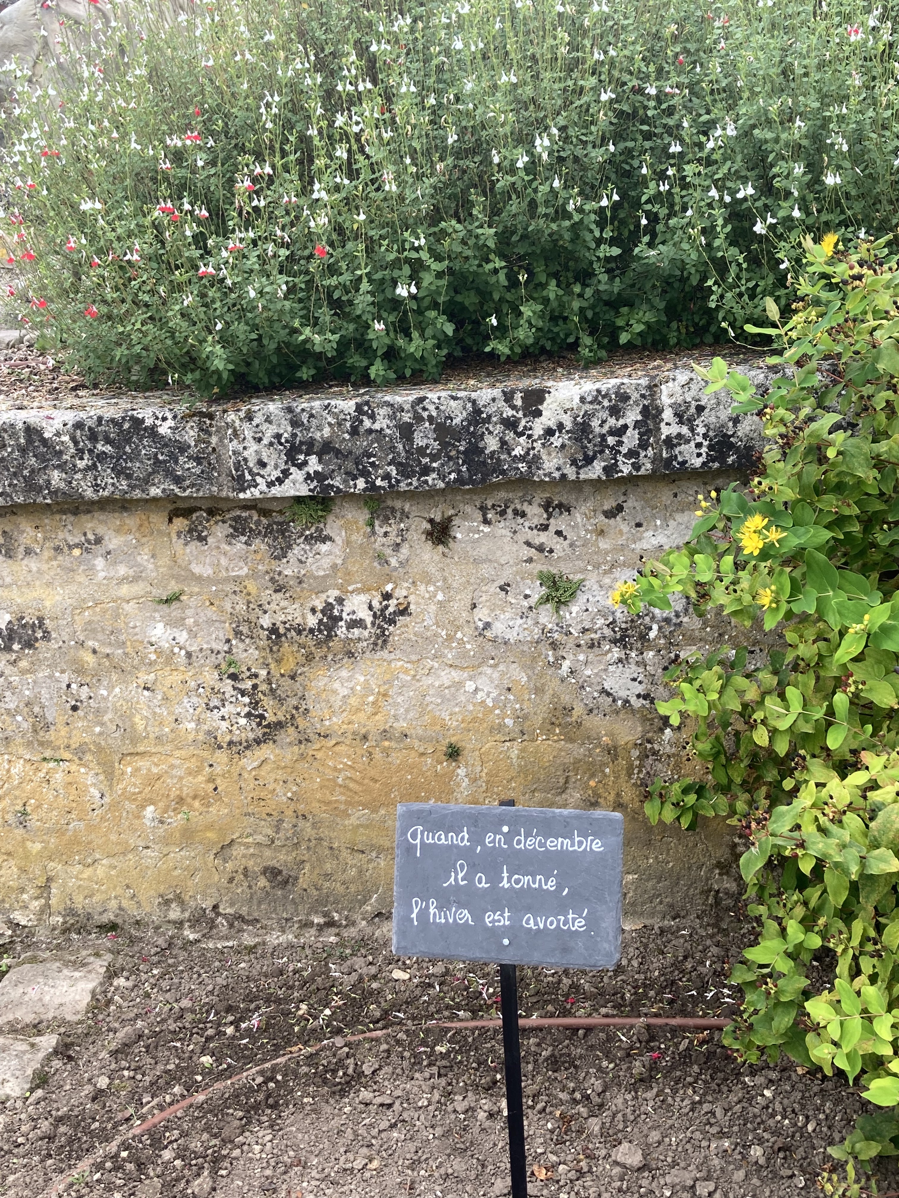 Photo n° 48 de l'avis de Denis.a fait le 16/08/2022 à 17:21
