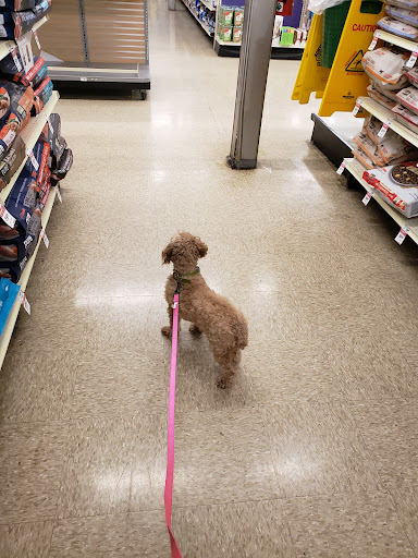 Pet Supply Store «PetSmart», reviews and photos, 145 Witchwood Dr, North Wales, PA 19454, USA