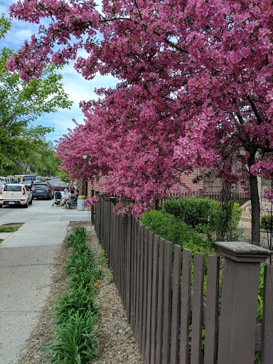 Gift Shop «Patina», reviews and photos, 821 W 50th St, Minneapolis, MN 55419, USA