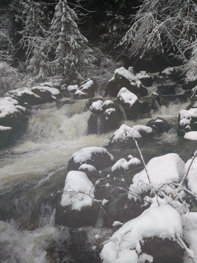 Nudist Park «Lake Bronson Club Family Nudist Park», reviews and photos, 33033 Cottontail Road, Sultan, WA 98294, USA