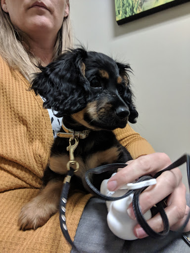 Pet Store «Market Street PET DEPOT», reviews and photos, 2979 S Market St, Gilbert, AZ 85295, USA