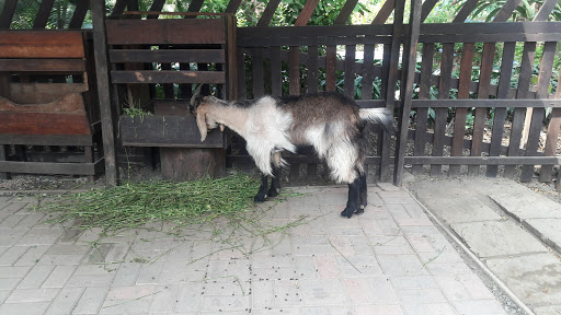 Granjas de animales en Guayaquil