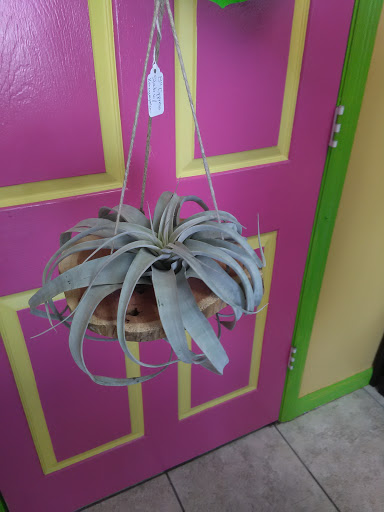 Florist «Buds & Bows Floral Design», reviews and photos, 1365 Cypress Ave, Melbourne, FL 32935, USA