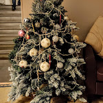 Photo n°7 de l'avis de Francesco.c fait le 09/01/2023 à 20:25 sur le  Hotel Rosalba à Perugia