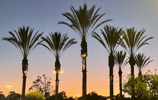 Shopping Mall «La Jolla Village Square», reviews and photos, 8657 Villa La Jolla Dr, La Jolla, CA 92037, USA