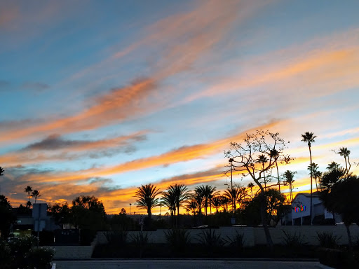 Acura Dealer «AutoNation Acura South Bay», reviews and photos, 25341 Crenshaw Blvd, Torrance, CA 90505, USA