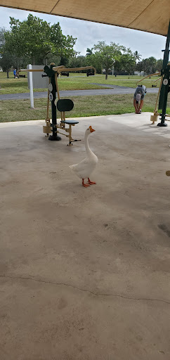 Park «Plantation Heritage Park», reviews and photos, 1100 S Fig Tree Ln, Plantation, FL 33317, USA