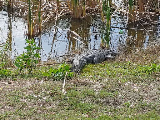 Golf Club «Sugar Cane Golf Club», reviews and photos, 2619 W Canal St N, Belle Glade, FL 33430, USA