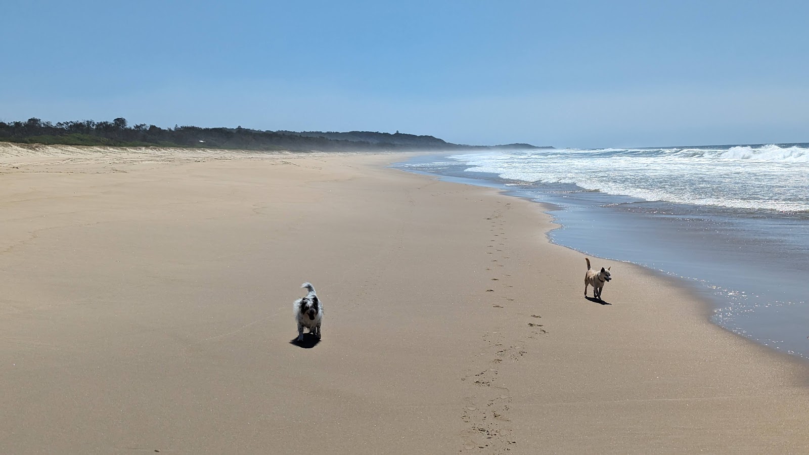 Photo de North Beach zone des équipements