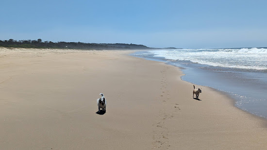 North Beach