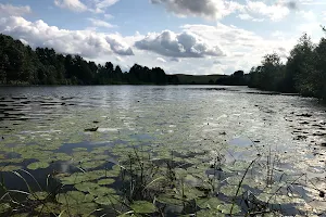 Vilūnų Lake image