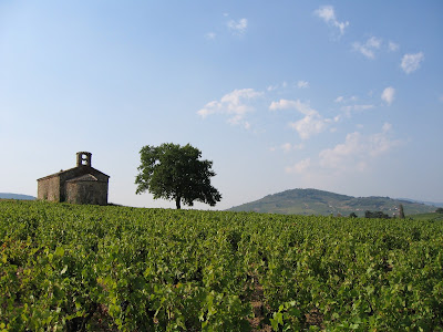 Famille Chevrier, Domaine de Sermezy à Charentay