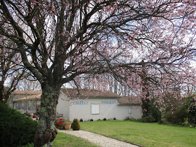 Chateau Finegrave à Saint-Julien-Beychevelle