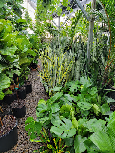 Florist «Little Eden Plantscaping», reviews and photos, 15550 W 72nd Ave, Arvada, CO 80007, USA