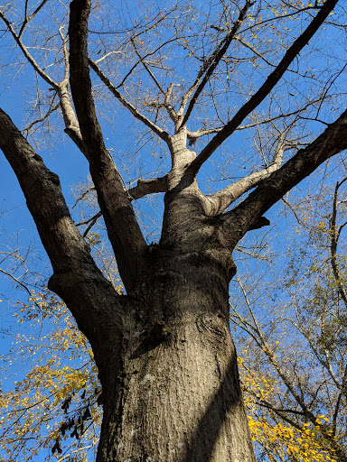 Nature Preserve «Autrey Mill Nature Preserve & Heritage Center», reviews and photos, 9770 Autrey Mill Rd, Johns Creek, GA 30022, USA