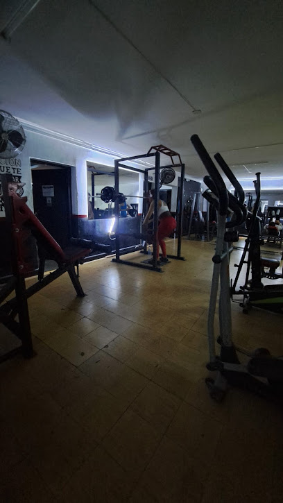 GIMNASIO MEGAFIT1