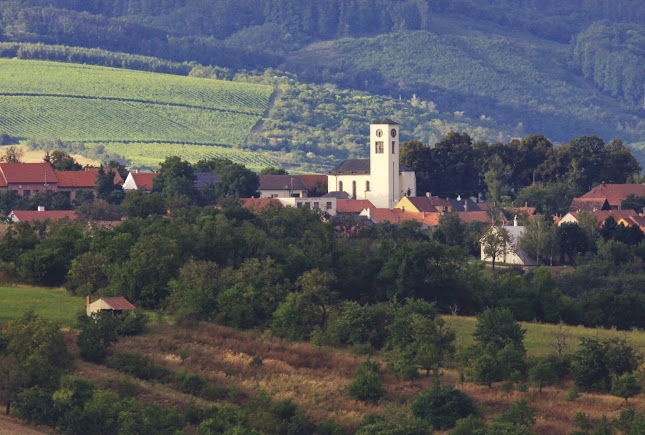Kostel sv. Martina, sv. Cyrila a Metoděje - Brno