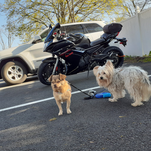 Motorcycle Dealer «New England Cycle Center», reviews and photos, 73 Leibert Rd, Hartford, CT 06120, USA