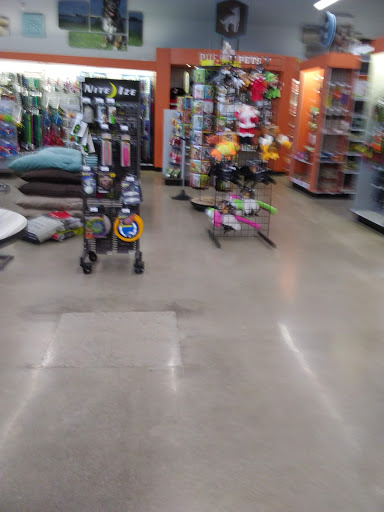 Pet Supply Store «Purely Pets», reviews and photos, 13723 23 Mile Rd, Shelby Charter Township, MI 48315, USA