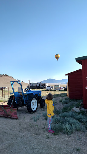 Fishing Store «Chaparral Park General Store», reviews and photos, 19015 Co Rd 59, Hartsel, CO 80449, USA