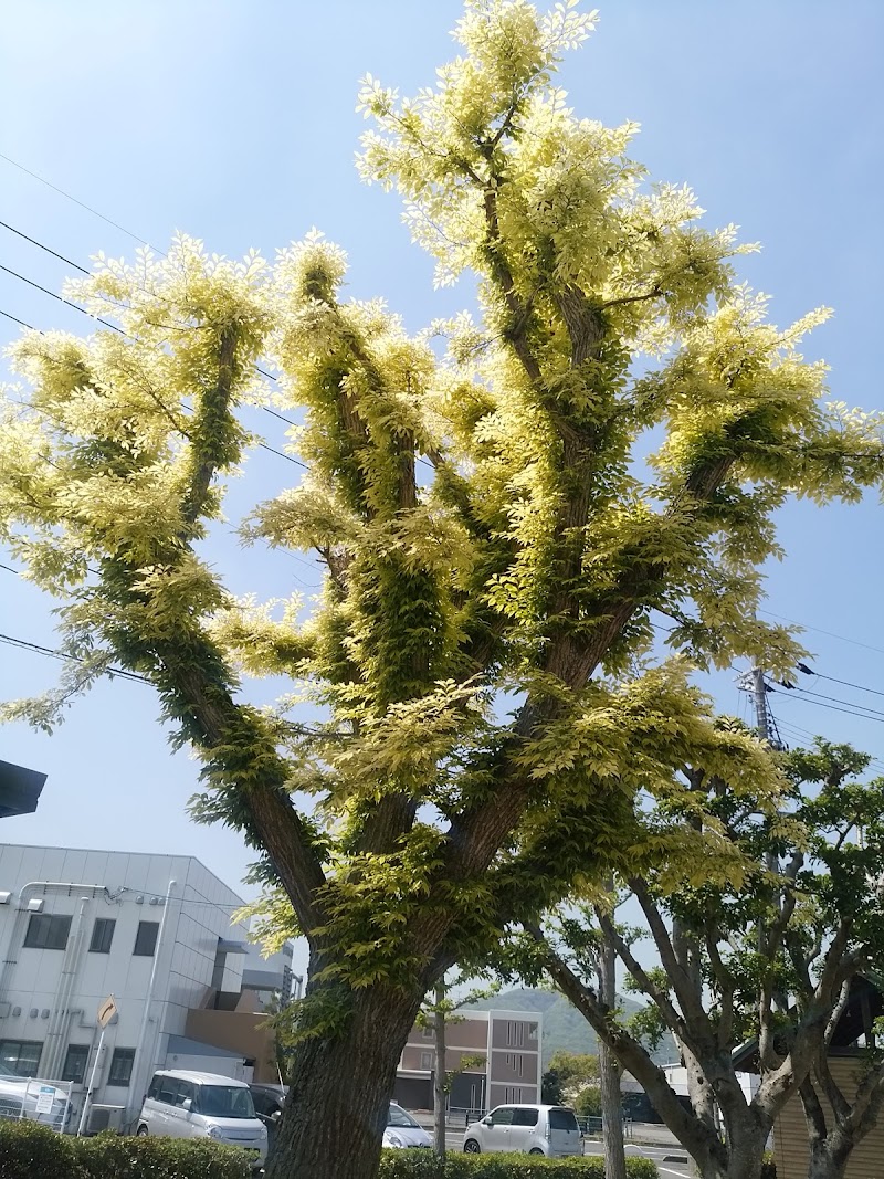 紅陽台歯科医院