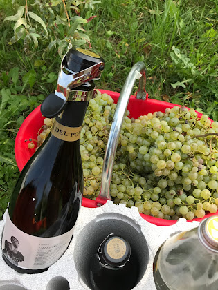 Plats et boissons Casa vacanze per non fumatori La Cimetta Monfumo 31010 Monfumo