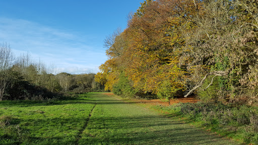 Clayfield Copse