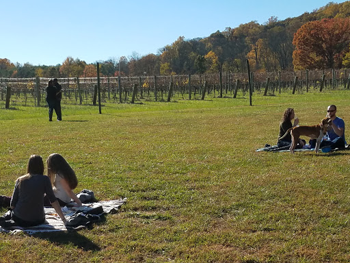 Vineyard «North Gate Vineyard», reviews and photos, 16031 Hillsboro Rd, Purcellville, VA 20132, USA