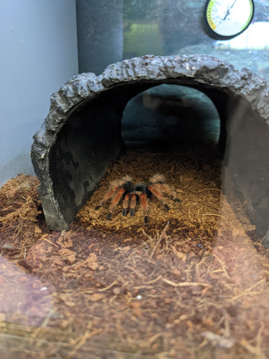 Pet Supply Store «Petco Animal Supplies», reviews and photos, 86 Storrs Rd, Mansfield Center, CT 06250, USA