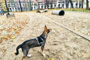 Hachiko - Park dla Psów image