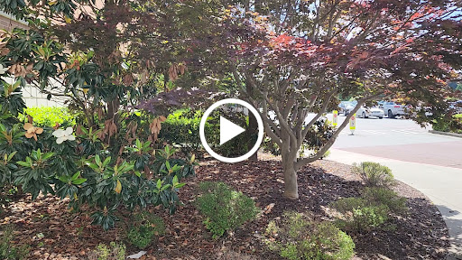 Movie Theater «AMC DINE-IN North Point Mall 12», reviews and photos, 4500 North Point Cir, Alpharetta, GA 30022, USA