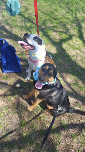 Park «Horner Park», reviews and photos, 2741 W Montrose Ave, Chicago, IL 60618, USA