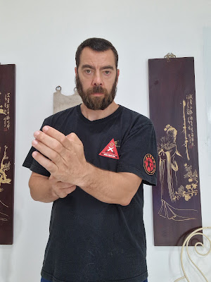 LINGNAN KUNG FU 82 à Labastide-Saint-Pierre