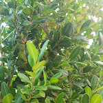 Photo n°5 de l'avis de Carlos.a fait le 28/08/2021 à 17:55 sur le  Hotel AGORA'  Agri Resort (ristorante ricevimenti pizzeria ) . à Castelluccio dei Sauri