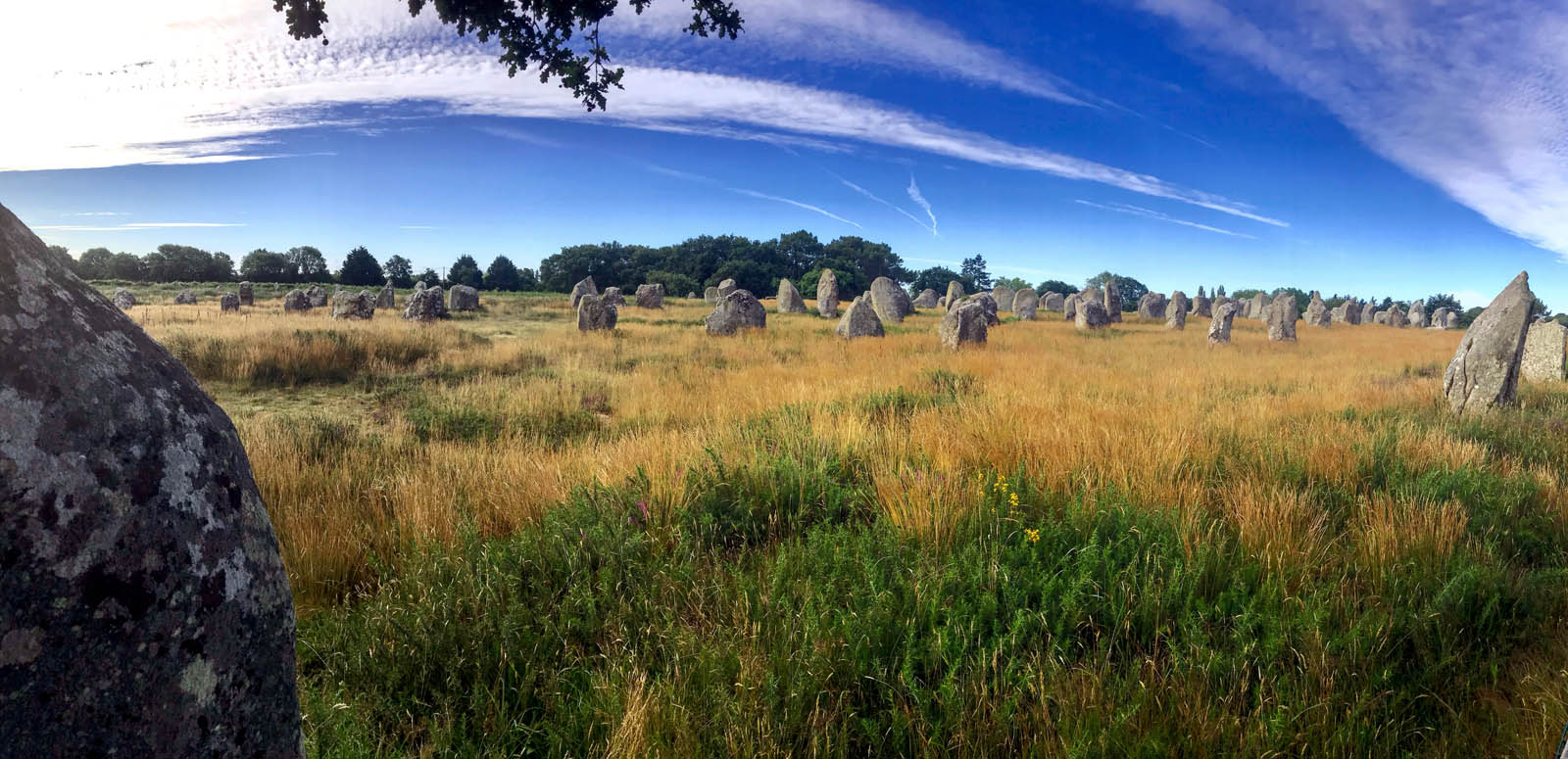 Photo n° 3 de l'avis de Sebastien.e fait le 14/07/2020 à 18:55